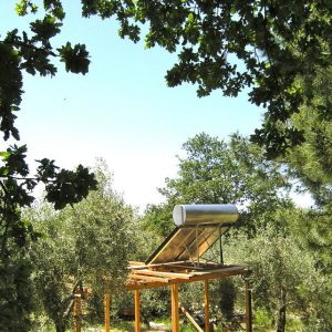 (Agriturismo Fattoria Prugnola Ecologic)