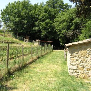 (Agriturismo Fattoria Prugnola Ecologic)