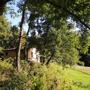 (Agriturismo Fattoria Prugnola Capinere Esterni)