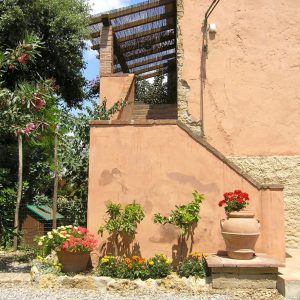 (Agriturismo Fattoria Prugnola Colombi Esterni)