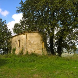 (Agriturismo Fattoria La Prugnola - Oliveta)