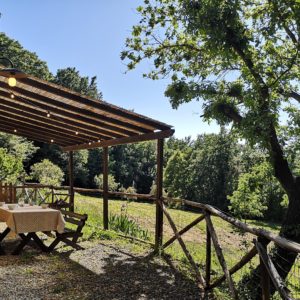 (Capinere pergola)