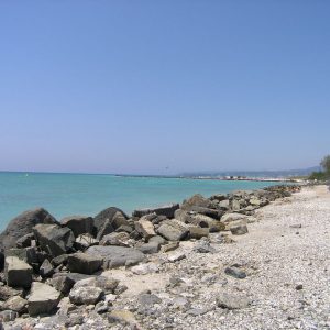 (Agriturismo Fattoria Prugnola Mare)