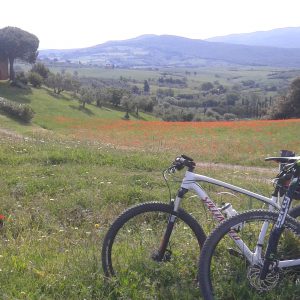 (bici e campagna)