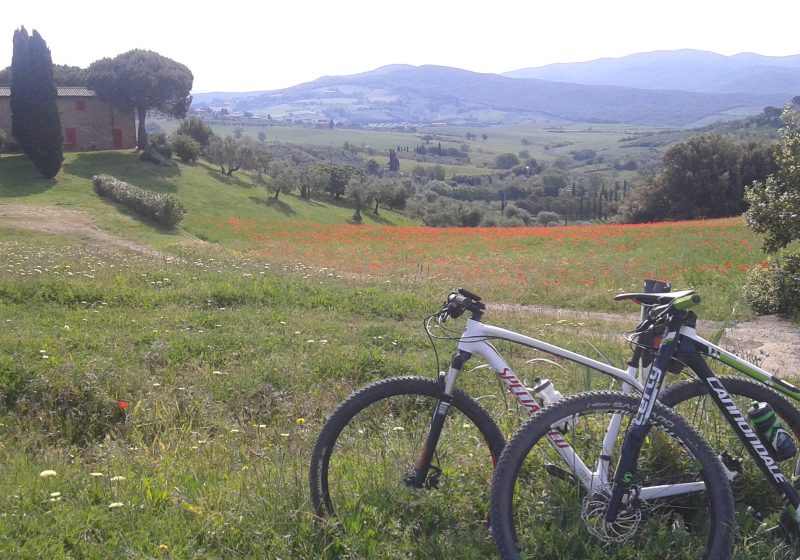 bici e campagna