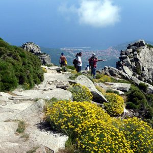 (Monte capanne)