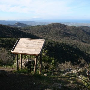 (Macchia MAgona vista paesaggio)